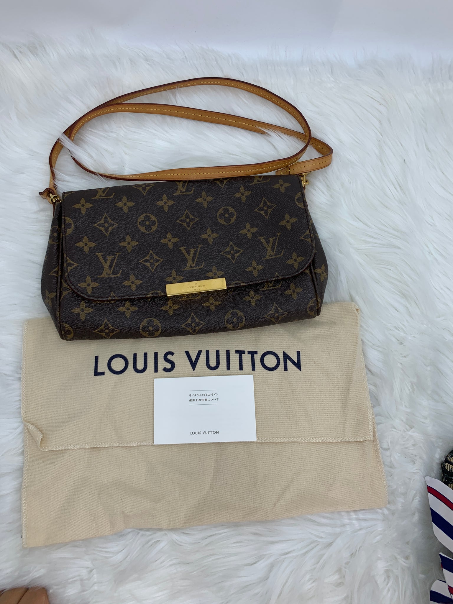 Louis Vuitton Favorite MM – Luxury Handbags and more